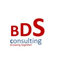 BDSConsulting