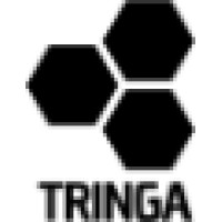 Tringa Semiconductors logo - Similar company to Hephaes Technologies