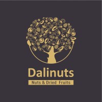 Dalinuts logo - Similar company to Datastream Dep