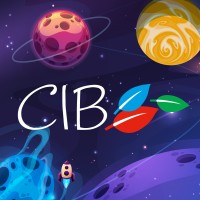 CIB IMPRESSION logo - Similar company to Lamia Jp