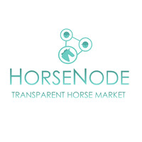 HorseNode logo - Similar company to Progma