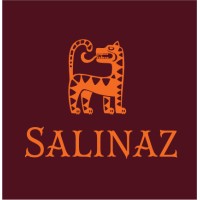 Salinaz logo - Similar company to Udps 69 - Union De Développement Des Premiers Secours Du Rhône