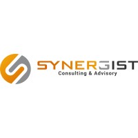 Synergist Consulting & Advisory, LLC logo - Similar company to Synergist