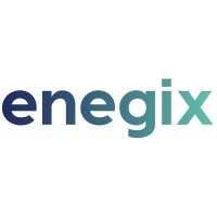 Enegix logo - Similar company to Engix