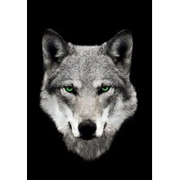 Wolves Den Realty