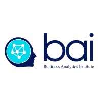 Business Analytics Institute logo - Similar company to Plastic Palace