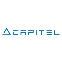 Capitel Management logo - Similar company to Ion-Ion