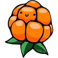 Hilla Solutions Oy logo - Similar company to Kollekt