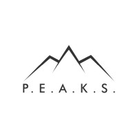 P.E.A.K.S. Pte Ltd logo - Similar company to Atsbay Online-E Learning