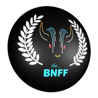 Buffalo Niagara Film Festival logo - Similar company to Casting Buffalo