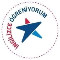 AmericanLIFE Gebze logo - Similar company to American LIFE Konya