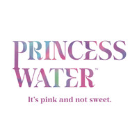 Princess Water logo - Similar company to Quivr