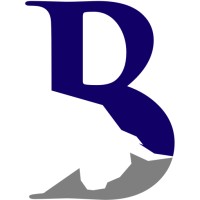Billings & Company logo - Similar company to Veda Partners, Llc