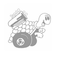 Turbo Turtle Dry Cleaners