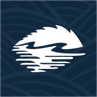 Birch River logo - Similar company to Watson Digital