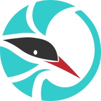 fikeni logo - Similar company to Livecode Technologies Limited