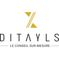 Ditayls logo - Similar company to 3S Finance