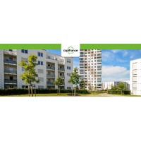 Conseiller immobilier CAPIFRANCE Borgo logo - Similar company to L'Immobilier Neuf By Cyrille Figureau -  Iad Prestige & International