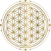 Become The Architect Of Your Life logo - Similar company to Jeffrey Berman Architect