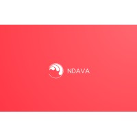 Ndava Co Ltd logo - Similar company to Rio
