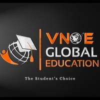 VNOE Global Education logo - Similar company to Probe Pesu