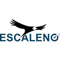 Escaleno Soluciones
