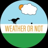Weather or Not Dog Walkers