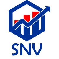 SNV Stock Broking Pvt Ltd logo - Similar company to Snv Nutritions And Fitness Llp