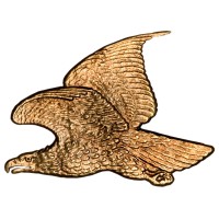 Flying Eagle Coins