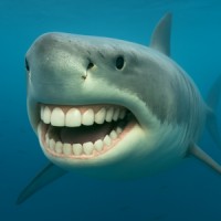White Label Dental Paid Ads Agency logo - Similar company to Quantum Agency