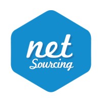 Netsourcing Services logo - Similar company to Netsourcing