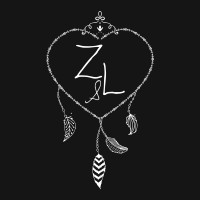Z&L Europe logo - Similar company to Biika