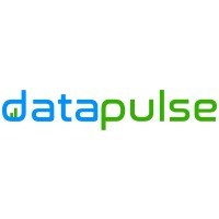 Data Pulse logo - Similar company to Data Pulse