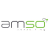 AMSO CONSULTING logo - Similar company to Green2B