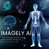 IMAGELY AI logo - Similar company to Ikorelab