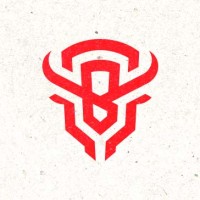 BISONS ECLUB logo - Similar company to Rebels Gaming