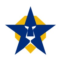 VUCASTAR Consulting logo - Similar company to Cfo Particeps