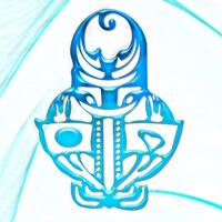 Lasifa International logo - Similar company to Lasifa International