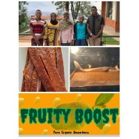 fruitieboost logo - Similar company to Phine Bakes