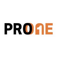 PRO ONE Networks logo - Similar company to Consort Digital