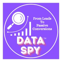 Data Spy logo - Similar company to Packer Brook Consulting, Llc