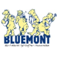 Bluemont Concert Series