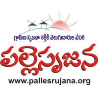Palle Srujana logo - Similar company to Cactus Consulting
