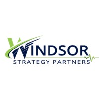 Windsor Strategy Partners, Inc. logo - Similar company to Virtual Instinct