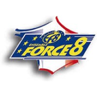 SAS Force 8 logo - Similar company to Lidis