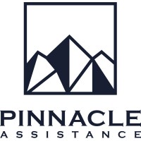 Pinnacle Assistance logo - Similar company to Medbrick