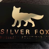 Silver Fox Business Solutions Ltd logo - Similar company to Andersen & Stender A/S