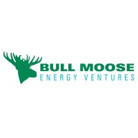 Bull Moose Energy Ventures, LLC logo - Similar company to Climatechain®