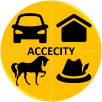 Accecity | اکسسیتی logo - Similar company to Mehranoosh Saffron Food Group