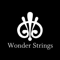 Wonder strings logo - Similar company to Ovotaris